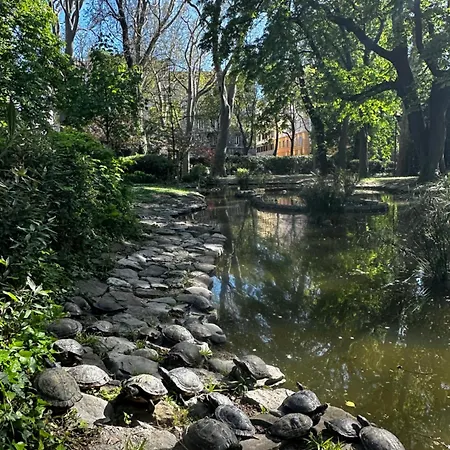 Aurora Gargen In Centro * Trieste