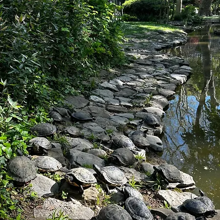 Aurora Gargen In Centro