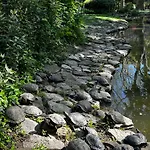 Aurora Gargen In Centro