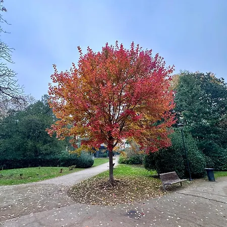 Aurora Gargen In Centro *