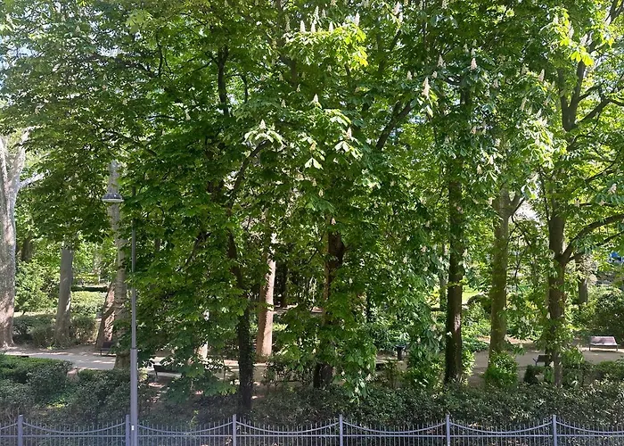 Aurora Gargen In Centro