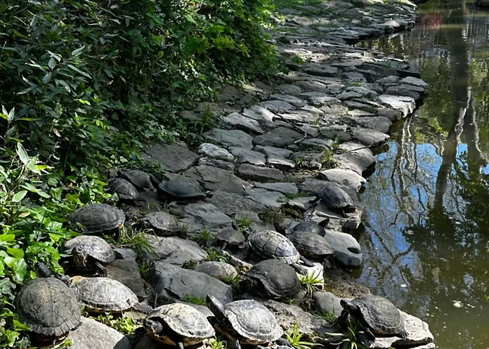 Aurora Gargen In Centro